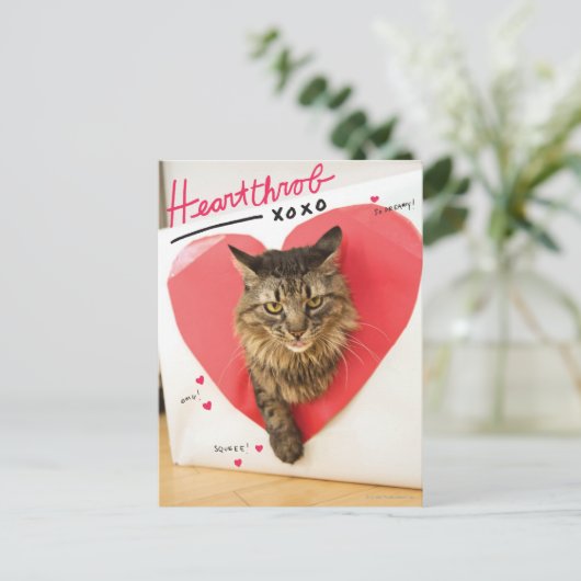 Carte Postale Chat d'idole (Debout devant)