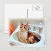 Carte postale Chat d'impressionniste dans un bassi (Devant / Derrière)
