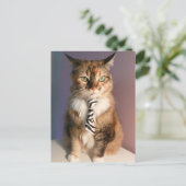 Carte Postale Chat domestique dans une cravate d'affaires (Debout devant)