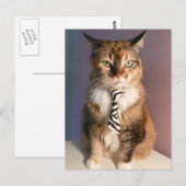 Carte Postale Chat domestique dans une cravate d'affaires (Devant / Derrière)