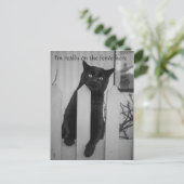 Carte Postale Chat drôle accroché à une clôture (Debout devant)