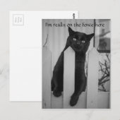 Carte Postale Chat drôle accroché à une clôture (Devant / Derrière)