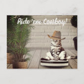 Carte Postale Chat drôle avec Cowboy Casquette équitation Vacuum (Devant)