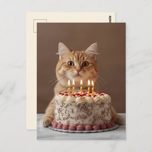 Carte Postale Chat drôle avec gâteau d'anniversaire (Devant / Derrière)