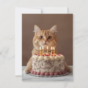 Carte Postale Chat drôle avec gâteau d'anniversaire