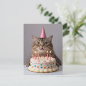 Carte Postale Chat drôle avec gâteau d'anniversaire (Debout devant)