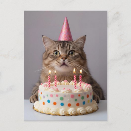 Carte Postale Chat drôle avec gâteau d'anniversaire (Devant)