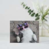 Carte Postale Chat drôle avec lunettes roses (Debout devant)