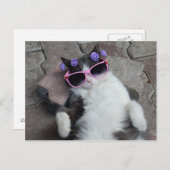 Carte Postale Chat drôle avec lunettes roses (Devant / Derrière)