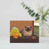 Carte Postale Chat Drôle Avec Un Canard En Valise (Debout devant)