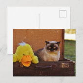 Carte Postale Chat Drôle Avec Un Canard En Valise (Devant / Derrière)