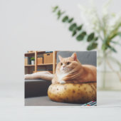 Carte Postale Chat drôle de patate de canapé (Debout devant)
