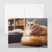 Carte Postale Chat drôle de patate de canapé (Devant / Derrière)