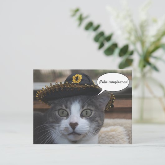 Carte Postale Chat drôle en Sombrero (Debout devant)