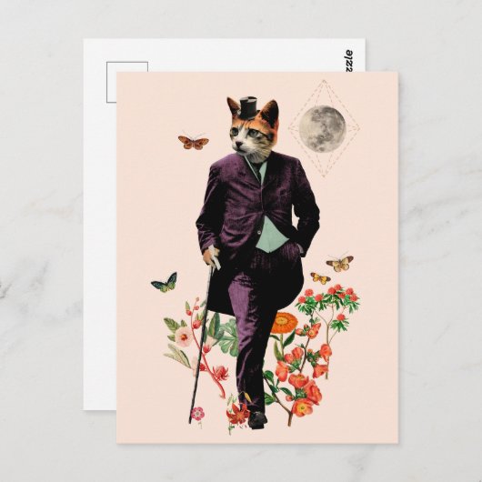 Carte Postale Chat drôle et élégant (Devant / Derrière)