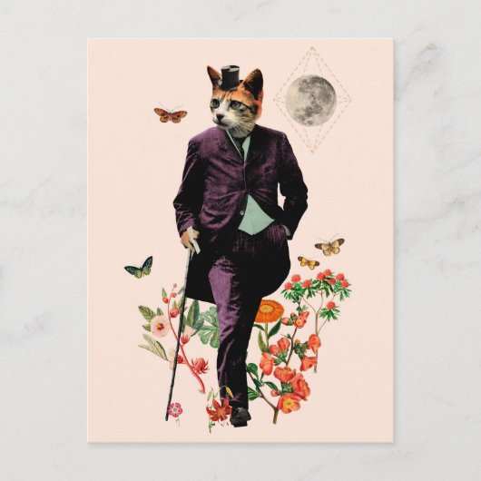 Carte Postale Chat drôle et élégant (Devant)