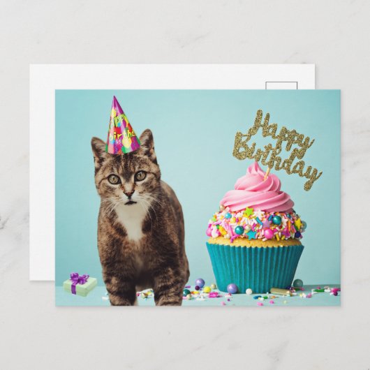 Carte Postale Chat drôle joyeux anniversaire avec gâteau (Devant / Derrière)