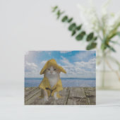 Carte Postale Chat drôle/Kitty en lickr jaune (Debout devant)