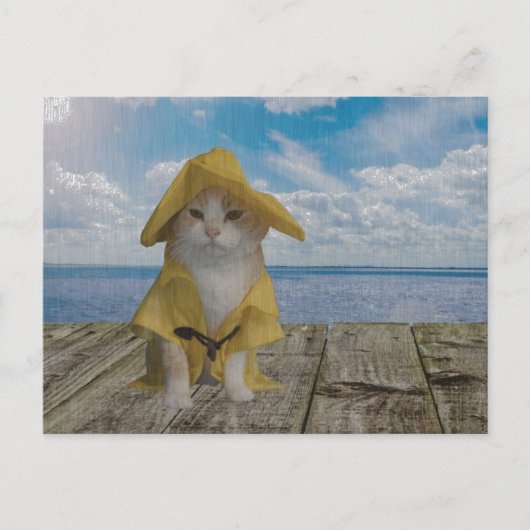 Carte Postale Chat drôle/Kitty en lickr jaune (Devant)