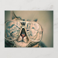 Chat drôle portant des lunettes