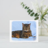 Carte Postale Chat du Bengale 9W052D-023 (Debout devant)