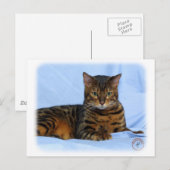 Carte Postale Chat du Bengale 9W052D-023 (Devant / Derrière)