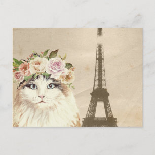 Carte Postale Chat élégant & Tour Eiffel