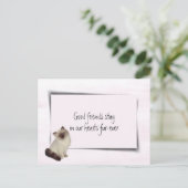 Carte Postale Chat en chiffon Sympathie pour animal de compagnie (Debout devant)