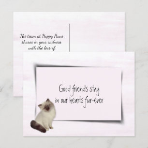 Carte Postale Chat en chiffon Sympathie pour l'animal de compagn