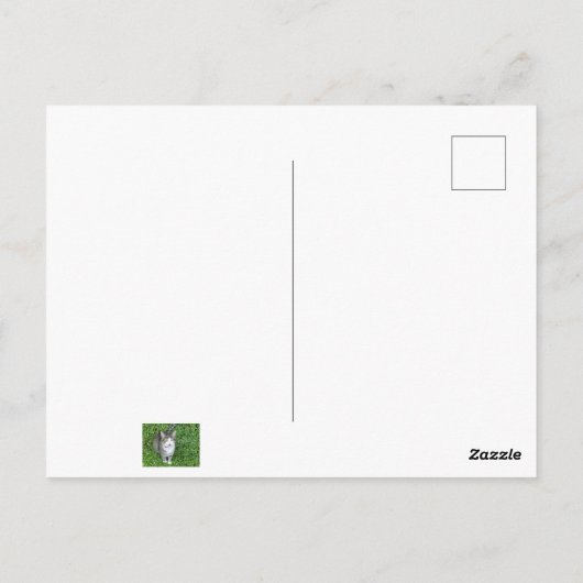 Carte Postale Chat en Clover dire bonjour (Dos)