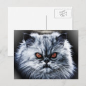 Carte postale Chat en colère (Devant / Derrière)