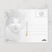 Carte Postale Chat en colère (Dos)