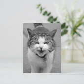 Carte Postale Chat en colère (Debout devant)