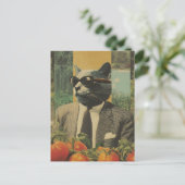 Carte Postale Chat en costume avec lunettes de soleil dans un ja (Debout devant)