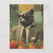 Carte Postale Chat en costume avec lunettes de soleil dans un ja (Devant)