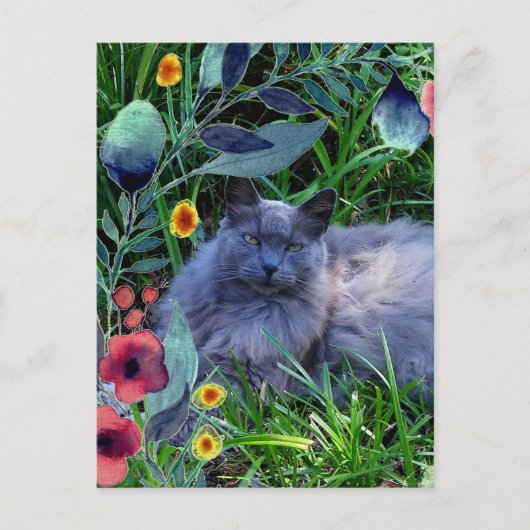 Carte Postale Chat en Fluffy Gris en Jardin avec Fleurs (Devant)