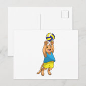 Carte Postale Chat en joueur de volley-ball avec ballon de volle (Devant / Derrière)