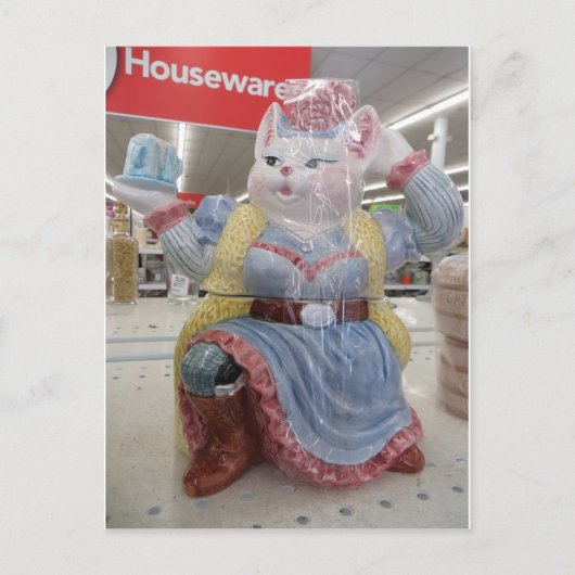 Carte Postale Chat En Robe (Devant)