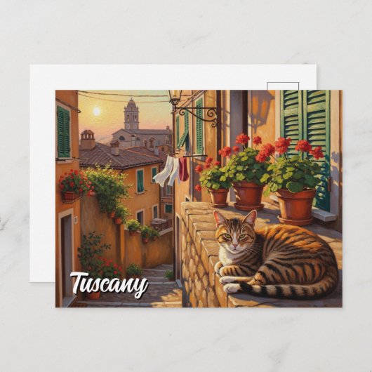 Carte Postale Chat en Toscane Italie (Devant / Derrière)