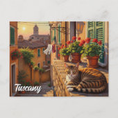 Carte Postale Chat en Toscane Italie (Devant)