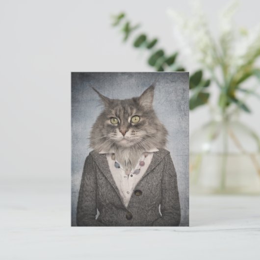 Carte Postale Chat En Vêtements (Debout devant)