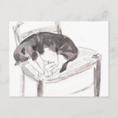 Carte Postale Chat endormi (1900) par Jane Poupelet - chat vinta (Devant)