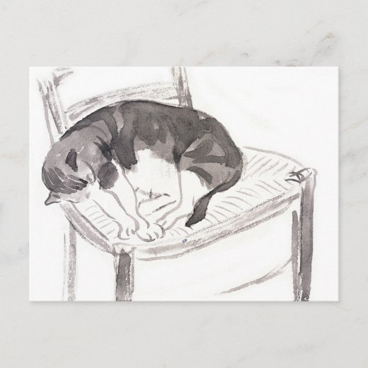 Carte Postale Chat endormi (1900) par Jane Poupelet - chat vinta (Devant)