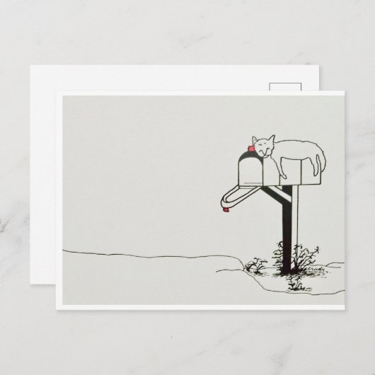 Carte Postale Chat endormi en attente de courrier (Devant / Derrière)