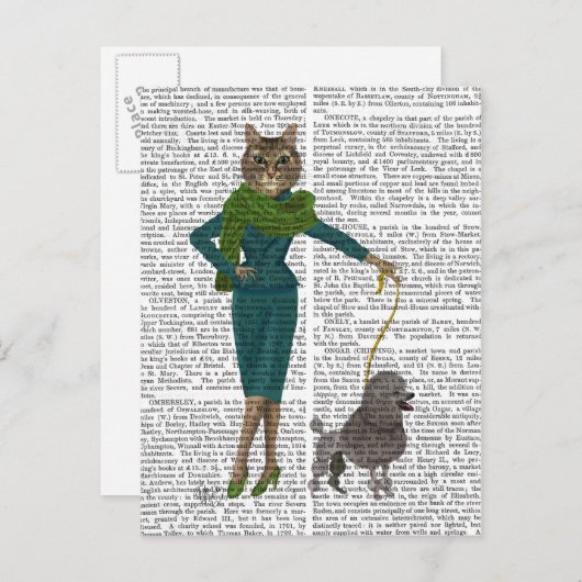 Carte Postale Chat et caniche (Devant / Derrière)