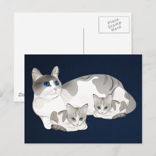 Carte Postale chat et chatons (Devant / Derrière)