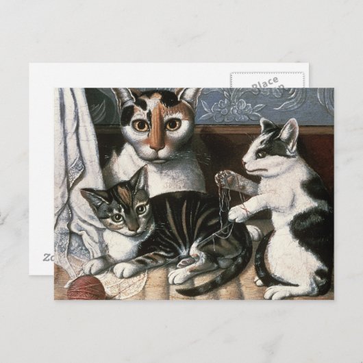 Carte Postale Chat et chatons, c.1872-1883 (Devant / Derrière)