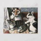 Carte Postale Chat et chatons, c.1872-1883 (Devant)