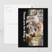 Carte Postale Chat et chien avec le texte merci (Devant / Derrière)