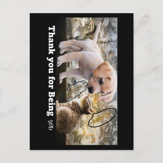Carte Postale Chat et chien avec le texte merci (Devant)